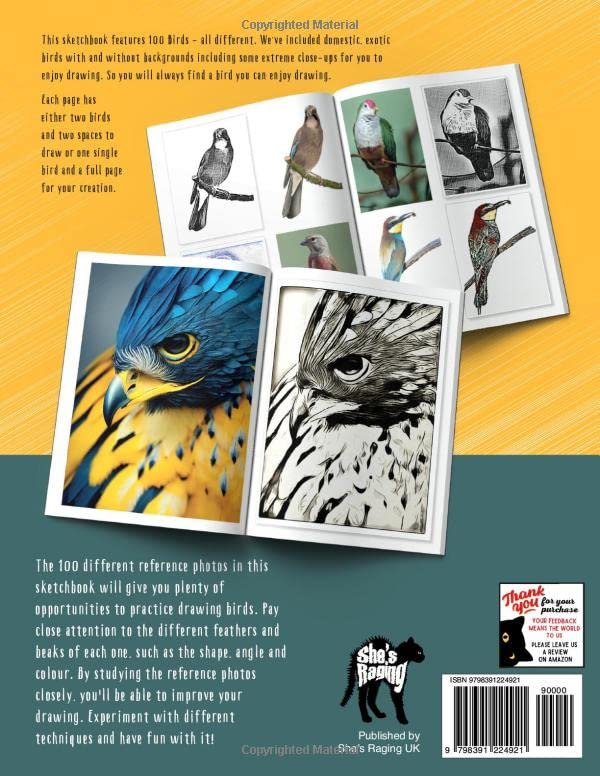 Practice Drawing Birds - A Photo Reference Sketchbook - Image 14