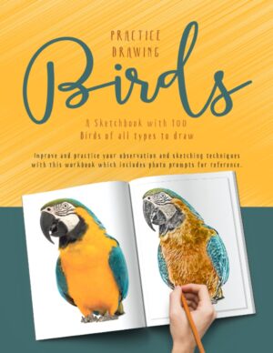 Practice Drawing Birds - A Photo Reference Sketchbook