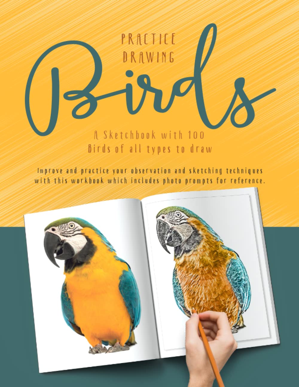 Practice Drawing Birds – A Photo Reference Sketchbook